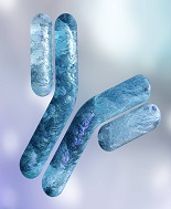 Covid-19, anticorpi monoclonali importanti in fase post pandemica per i fragili. Il punto al Congresso Icar 